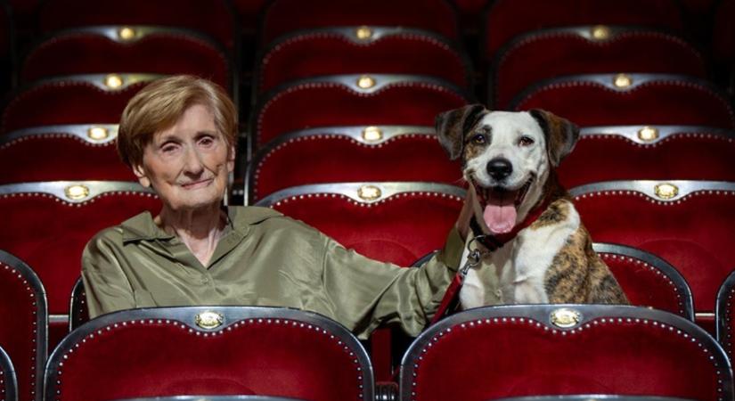 Megható naptár készült a Vígszínházban: színészek és kutyák együtt álltak a jó ügy mellé