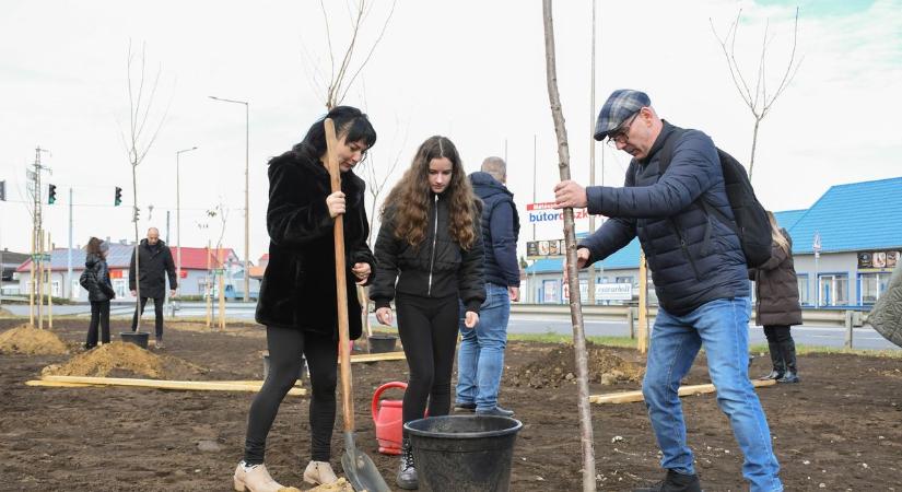 Egy fa, egy élet, egy közösség – Elültették az "Áldott jövő fáit" Mátészalkán
