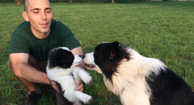 Bírságra számíthatsz a Balatonnál, ha elmulasztod az összeírást