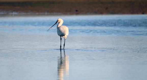 Ismerd meg a Duna szerepét a klímaváltozásban a Futurotechán!