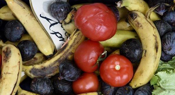 Kapszulakamrával az élelmiszerpazarlás ellen – A Nébih Maradék nélkül program tanácsai