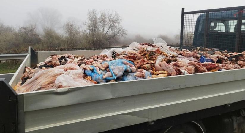 Húscafatok borították el az autópályát, később nem várt fordulatot vett a baleset