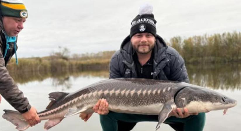 Kenderesi Tamásnak ez élete nagy fogása