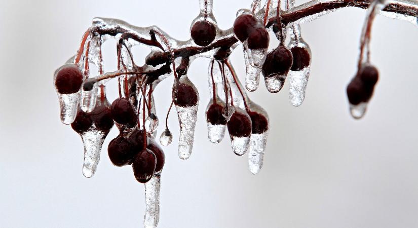 Megírták az időjósok, ekkor érkezik az eső, sárga jelzés van érvényben három vármegye kivételével - Időjárás-előrejelzés