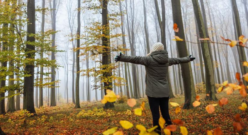 Szegeden is ködös kezdés – vajon felhőtlenül folytatódik a nap?