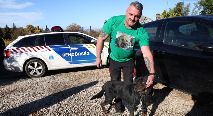 Koponya az ágy alatt, ürülék mindenhol...– két csontsovány négylábút sikerült kimenteni a kutyapokolból