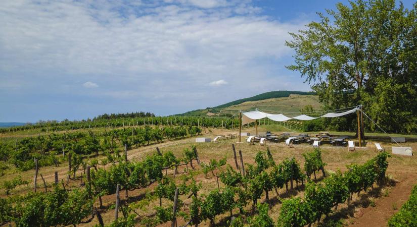 Baldachin a Síkhegyen