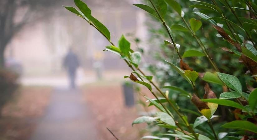 Felkészült a holnapi borzasztó időjárásra? Ha még nem, mutatjuk a részleteket!