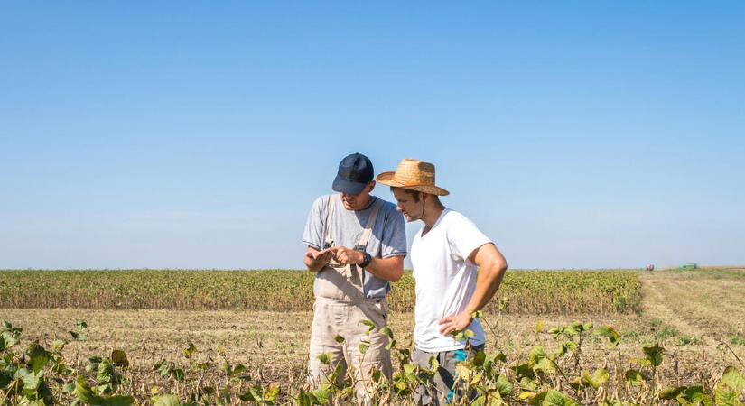 MBH AgrárTrend Index – Fogyóban az optimizmus