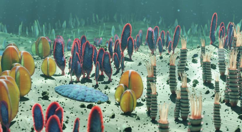 Az ősi szuperkontinens, a Nuna szétválása gyorsíthatta fel a komplex élet fejlődését a Földön