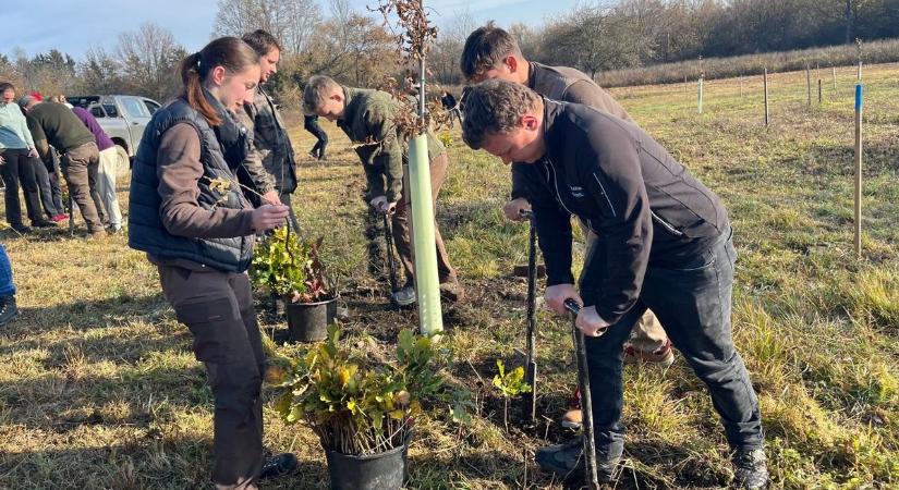 Újabb 1500 fával gazdagodott a Hűségerdő Harka mellett - videó