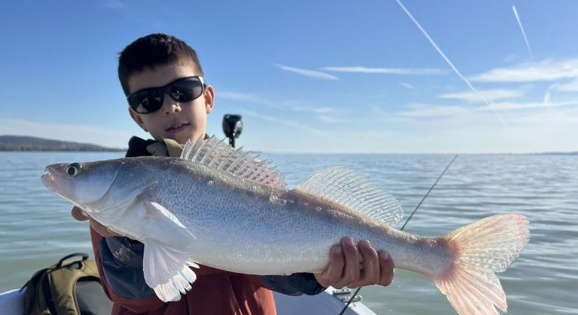 Rablókirályok a horgon: óriási csukákat és süllőket fogtak ki egymás után a Balatonban