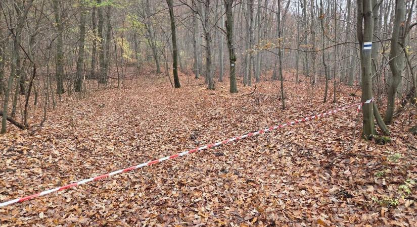 Tévesen zárták le az erdőket a Bükkben, illegálisan blokkolják a turistautakat - megszólalt az Egererdő