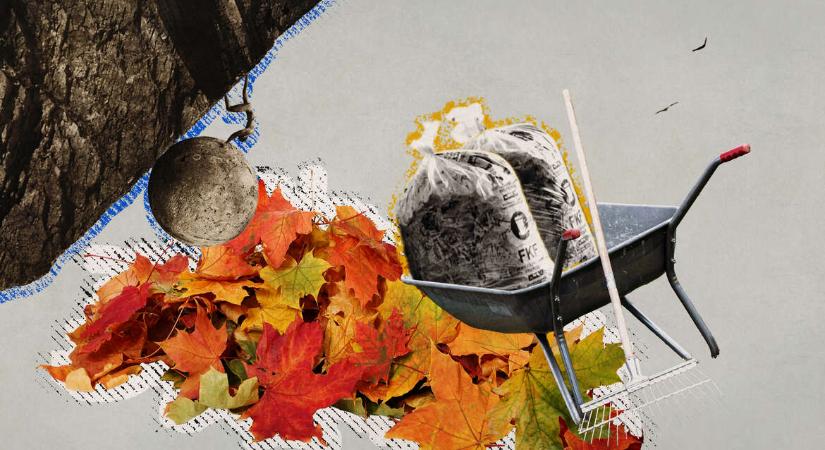 Modern Sziszüphosz: az össznépi avarseprés abszurditása