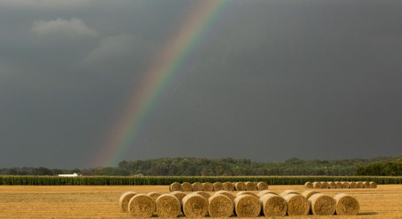 Újabb jelentős támogatáshoz jutnak a fenntartható mezőgazdasági gyakorlatokat vállaló gazdák