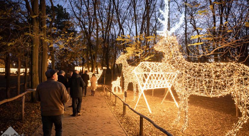 Wild Light Park, capybarák, és Halloween