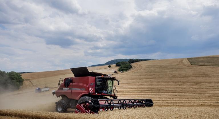 Döntő útelágazás előtt a magyar kulcsterület – aki fejleszt, nyer, aki kivár, kockáztat