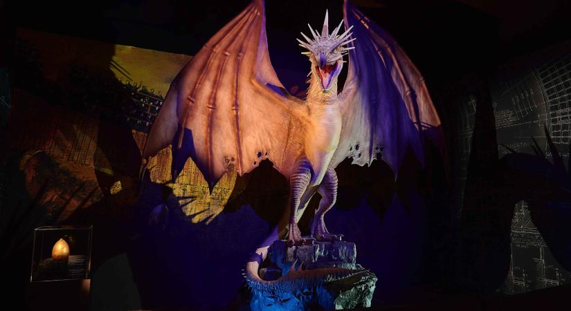 Magyarországra érkezik a Harry Potter kiállítás