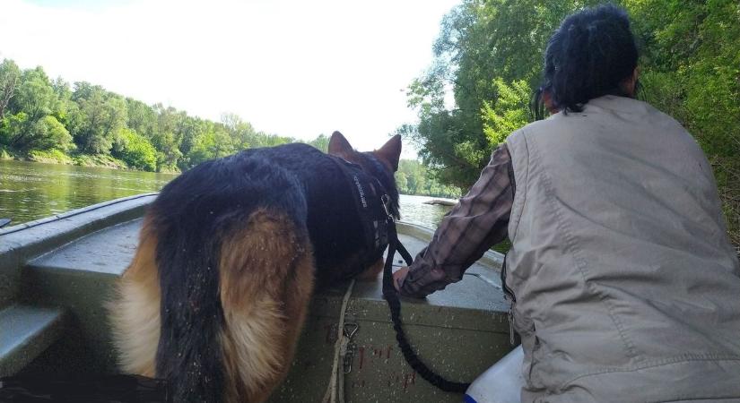 Véget ért a keresés, a legsokkolóbb eredménnyel