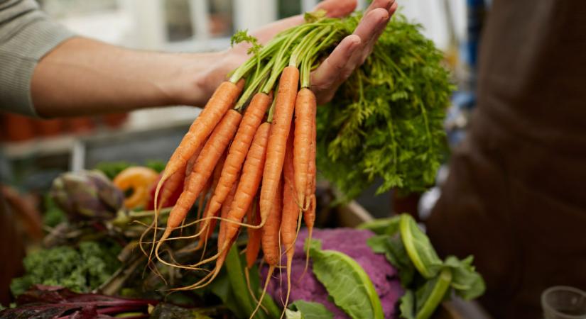 Ez a legédesebb sárgarépa, így kell vetni - Itt van, melyik hónapban termő sárgarépa a legédesebb Magyarországon