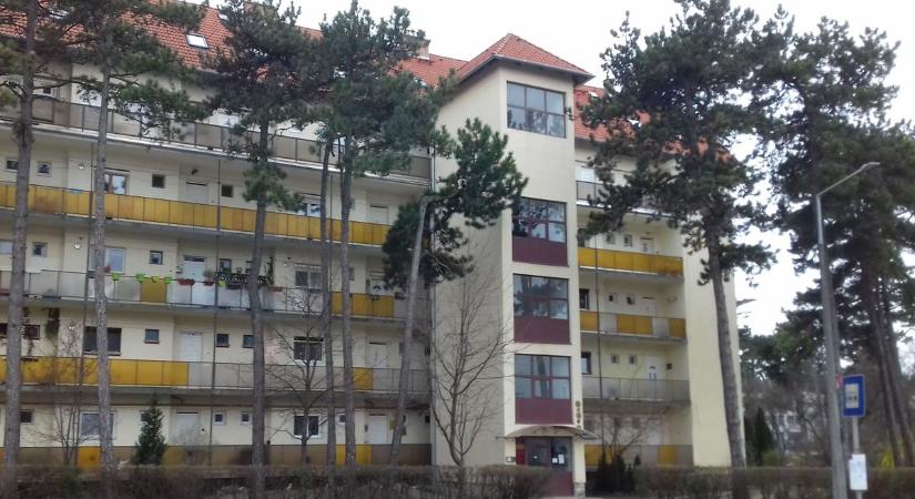 Veszprémben meszelték el az évtized csalóját, ez az ingatlanmutyi lesokkol