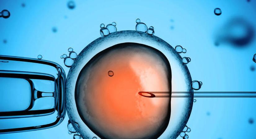 Takács Péternek mégsem sikerült a Katolikus Egyház támogatását megnyernie