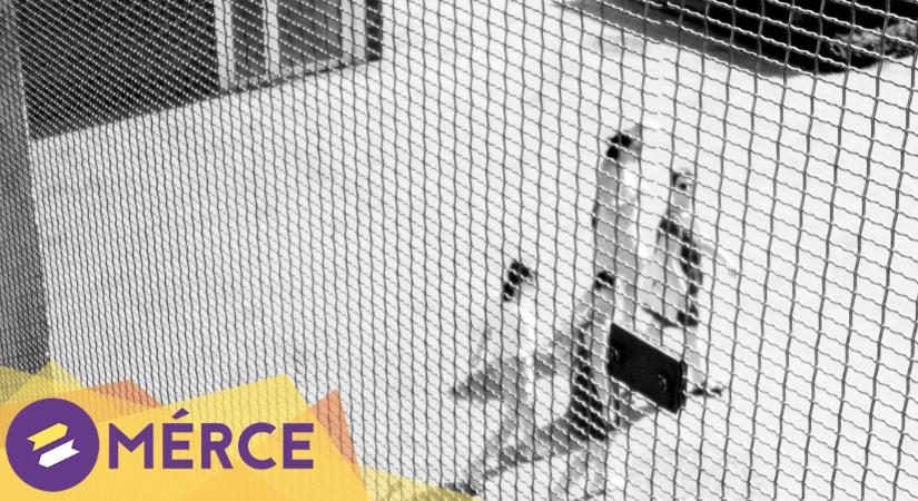 Az ígért szebb világ, ami sohasem jött el: mit tudunk a „létezett államszocializmusokról”?