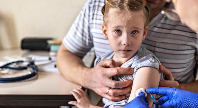 Ungváry Zsolt: Nem érthetünk mindenhez