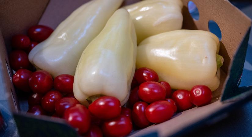 A szakmának van egy tippje, hogy mitől lesz olcsóbb a paprika és a paradicsom: nem az árrésstop az