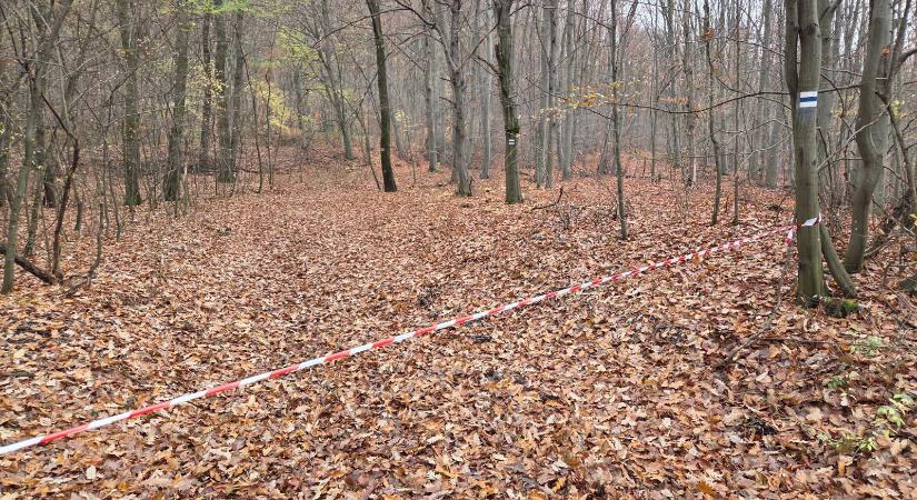 Téves erdőlezárások a Bükkben – az EGERERDŐ Zrt. figyelmezteti a kirándulókat