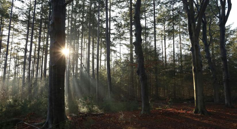 Párás reggelek, derűsebb délutánok - őszi arcát mutatja az időjárás