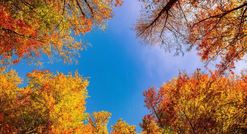 Holnap kiderül, enged-e a ború Szegeden – erre készülj november 12-én