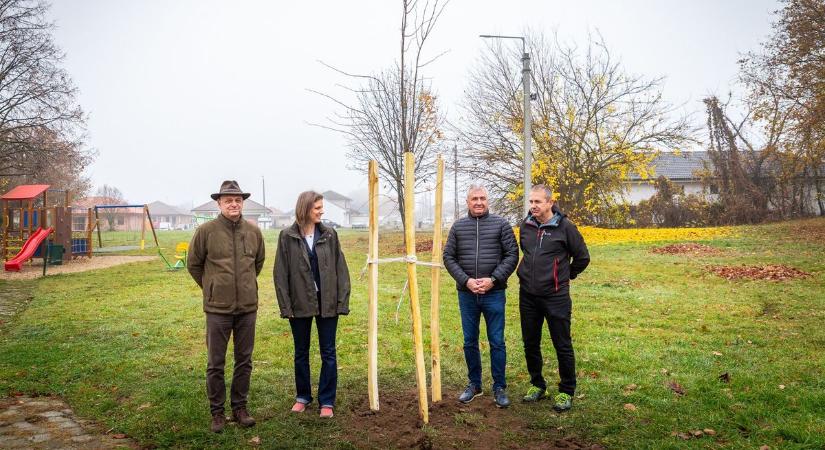 Lapátot ragadott az államtitkár Nyírteleken (fotókkal)