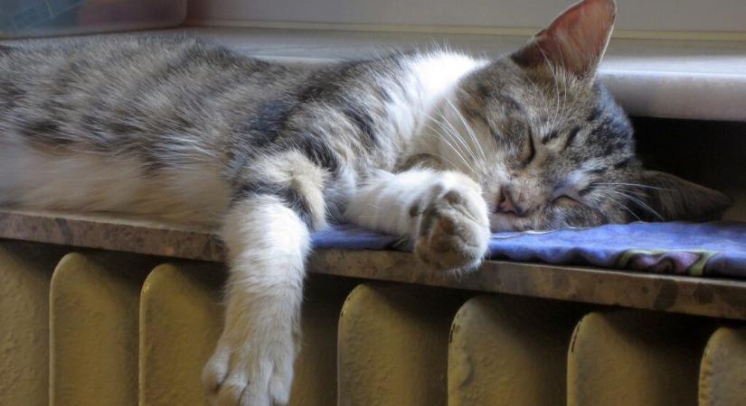 Ez az ideális hőmérséklet az otthonunkban