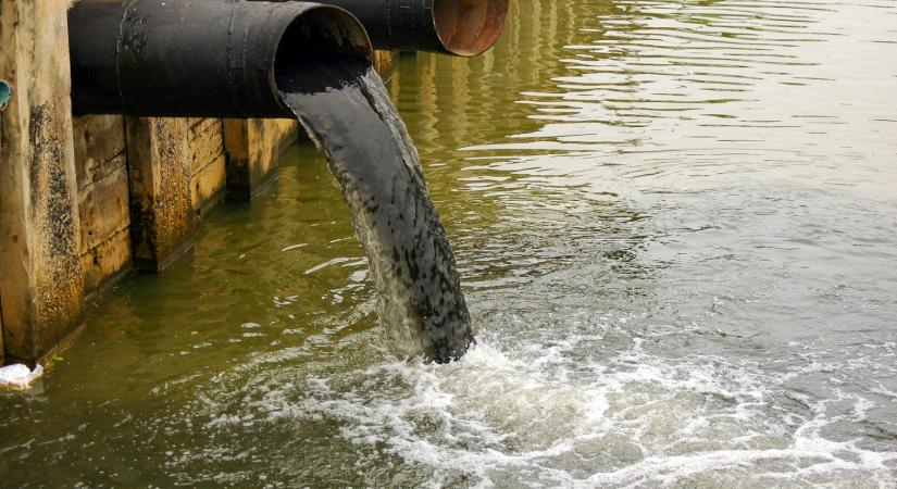 Az október 30.-i Cleaneco/Bibo kvíz nyertesei