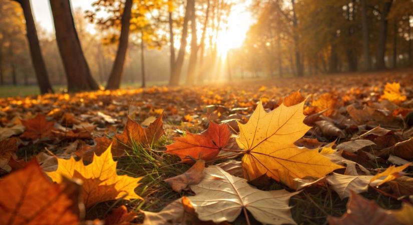 A vármegye legjobb programjai egy helyre gyűjtve!