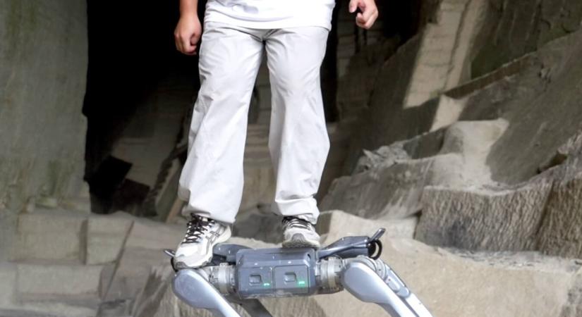 Magyarországra érkezik a tízmillió forintos robotkutya