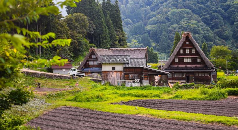 Felrobbantotta az internetet a magyar falu, ahol pénzért bármit megtehetsz, itt a videó a részletekről