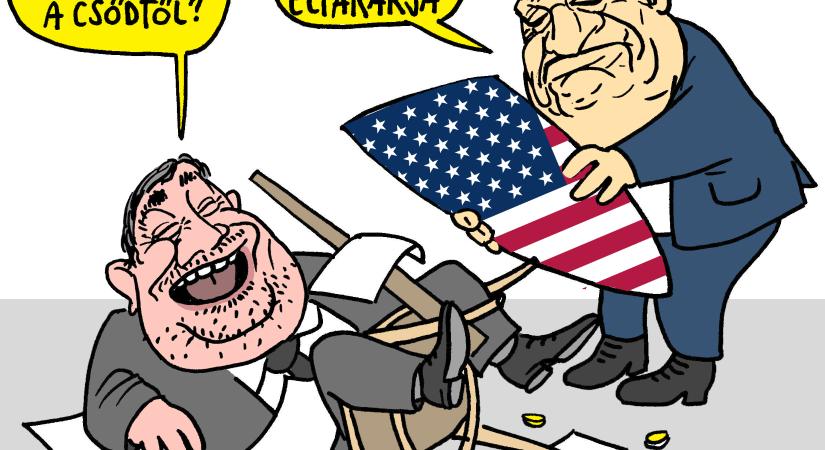 Pénzügyi védőpajzs