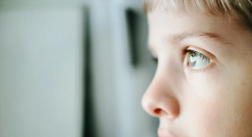 TÁRSADALMI TÉMÁJÚ KAMPÁNNYAL JELENTKEZIK A NETWORK4