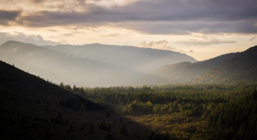 Nyomtalanul eltűnt egy tapasztalt vadász az erdőben – felfüggesztették a keresést