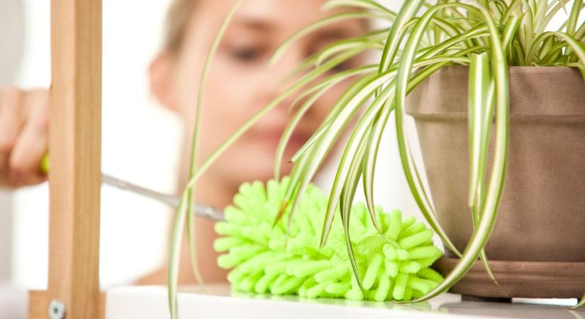 Állandóan nagy a por a lakásban? Ezt a 8 dolgot érdemes ellenőrizni!