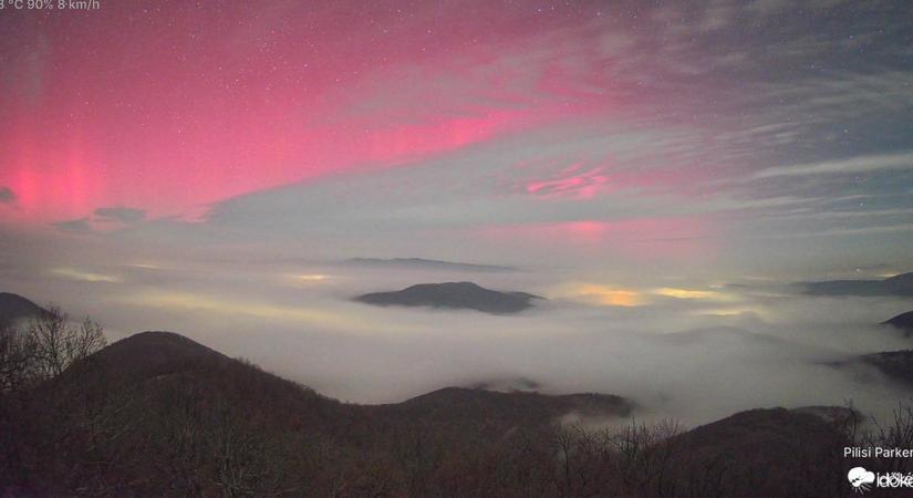 Geomágneses vihar: te is figyeled a haszonállataidat?