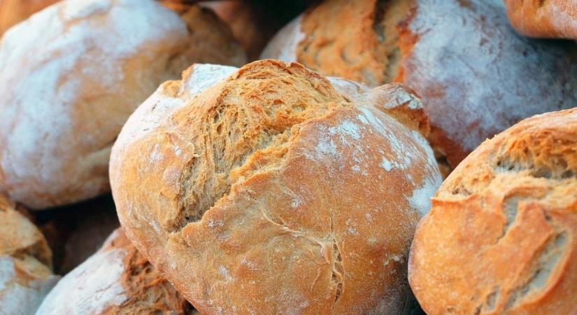 Gigantikus kenyérgyár épül Tatán