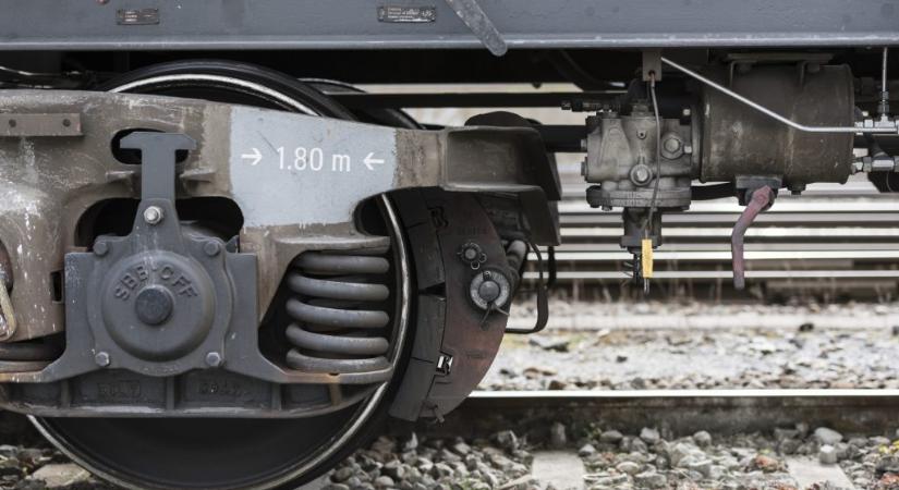 Egy 15 éves lányt gázolt el halálra a vonat Isaszegnél, szerelmi bánatában léphetett a szerelvény elé