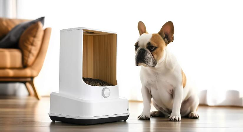 „Okos kutyák, okos kütyükkel” – technológia a háziállatok szolgálatában