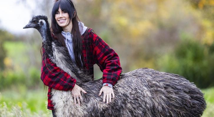 Hatalmas madár a család házikedvence