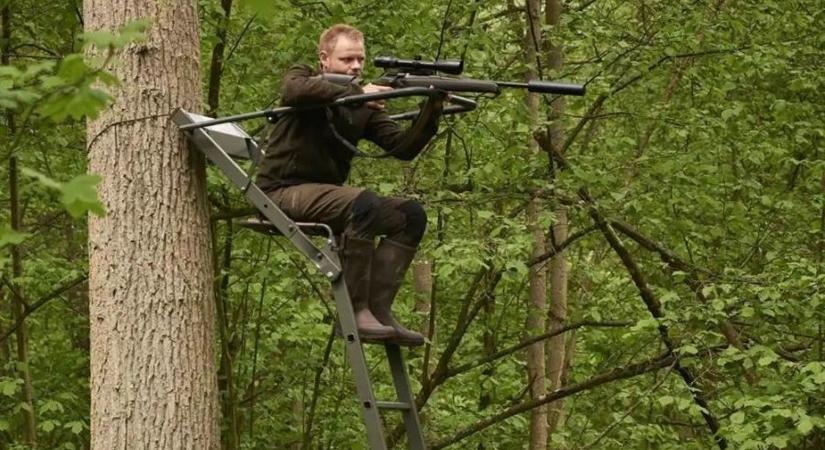 „Szegény Bambi” – az új felmérés szerint a városiak ítélkeznek, a vidékiek megértik