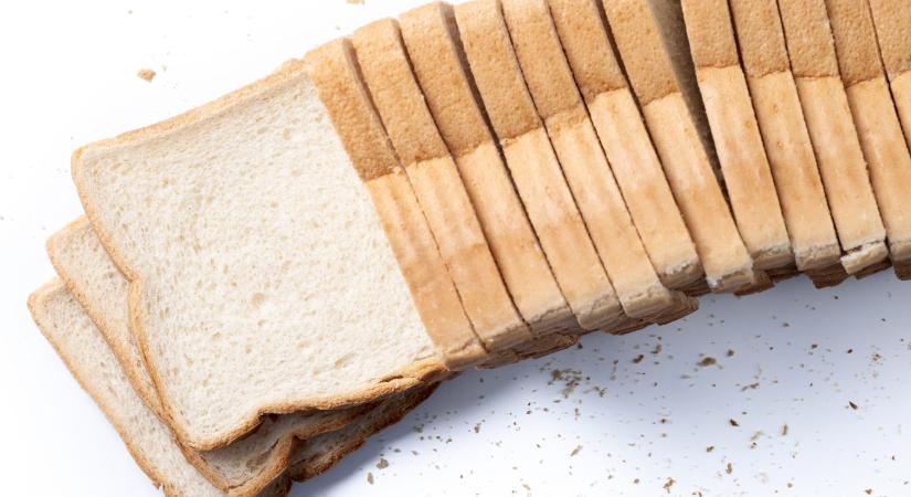 Kelet-Közép-Európa legnagyobb kenyérgyárát építi a Ceres Tatán