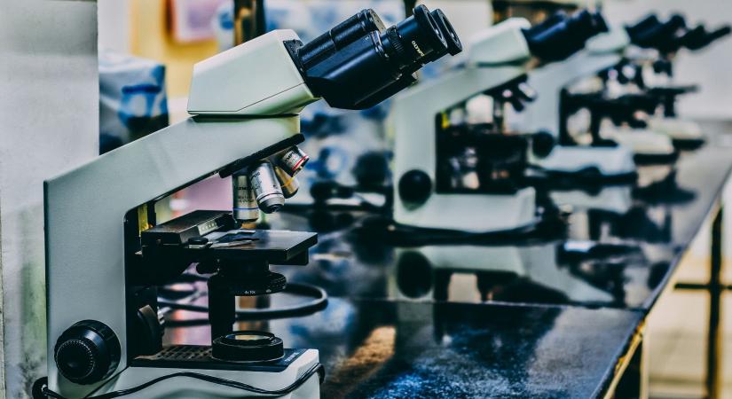 Új típusú antibiotikumot fedeztek fel, ami még a szuperbaktériumok ellen is hatásos lehet